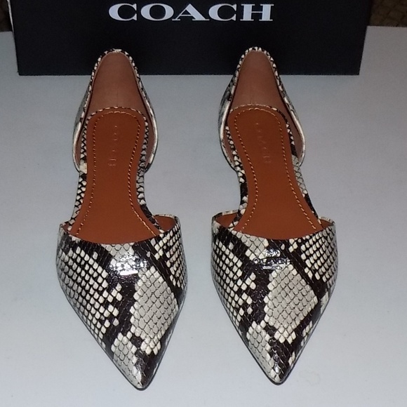 New Coach Python leather D’Orsays - Picture 4 of 8